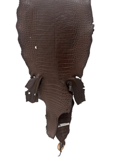 40 cm Grade 3/4 Chocolate Matte Wild American Alligator Leather - Tag: LA23-0003296