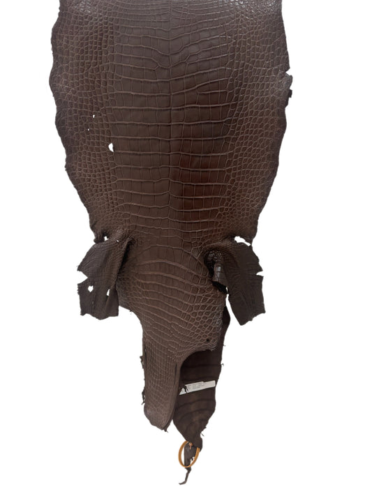 40 cm Grade 3/4 Chocolate Matte Wild American Alligator Leather - Tag: LA23-0003296