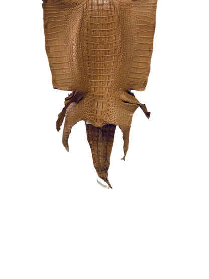 31 cm Grade 1/2 Light Antique Saddle Matte Farm-Raised American Alligator Hornback Leather - Tag: LA23-0377111
