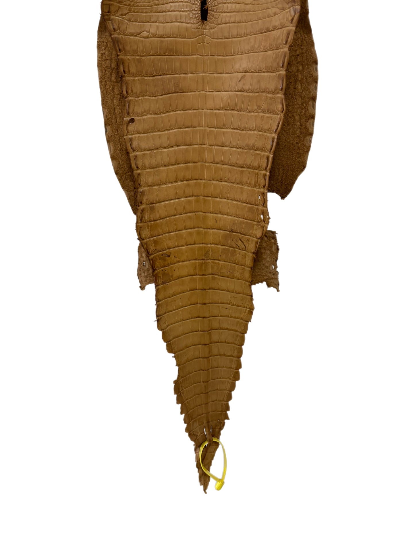 28 cm Grade 3/4 Antique Saddle Matte Farm-Raised American Alligator Leather - Tag: FL22-0030275
