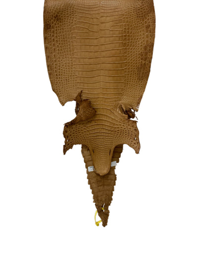28 cm Grade 3/4 Antique Saddle Matte Farm-Raised American Alligator Leather - Tag: FL22-0030275