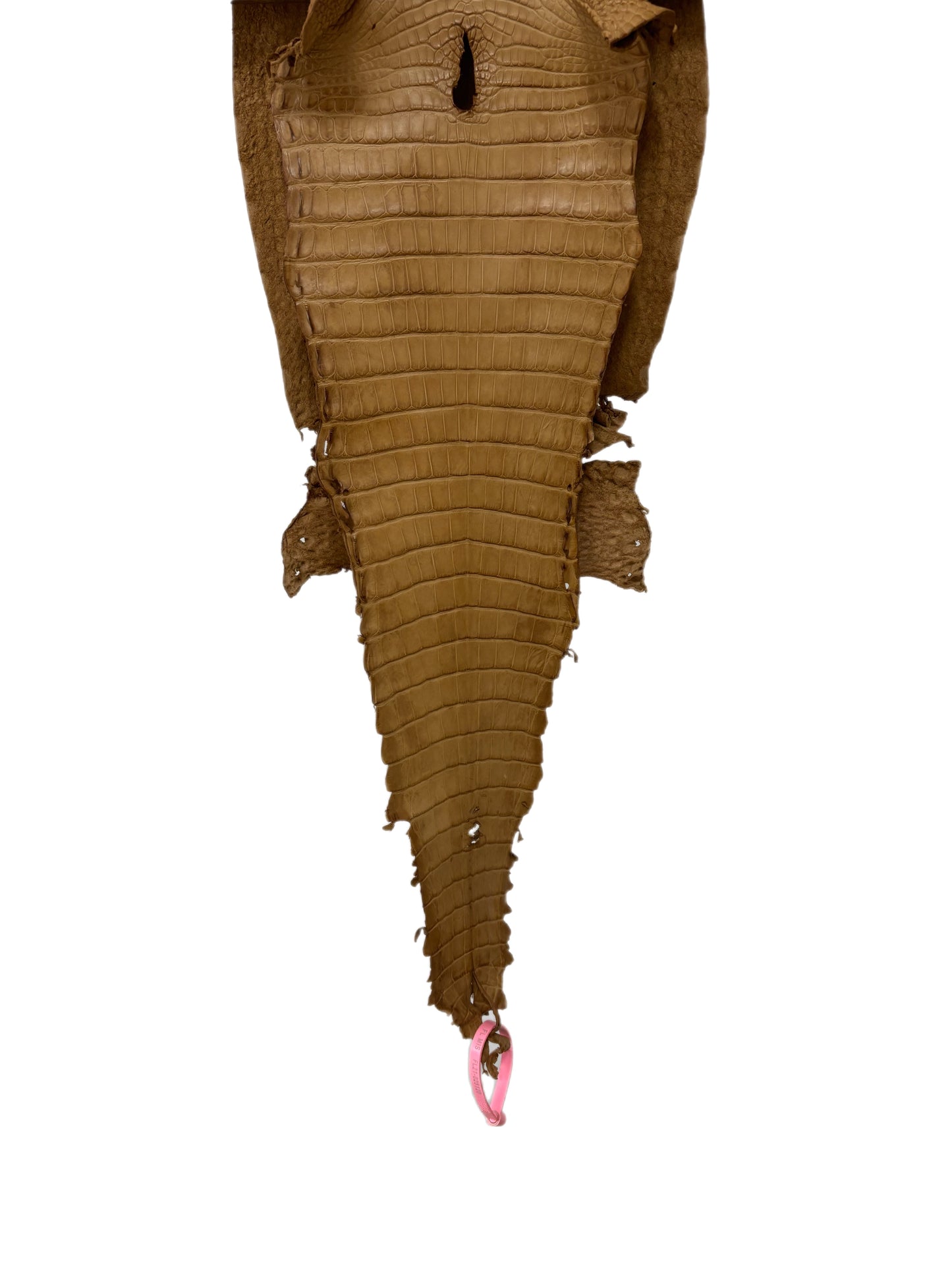 28 cm Grade 2/3 Antique Saddle Matte Farm-Raised American Alligator Leather - Tag: FL21-0025120