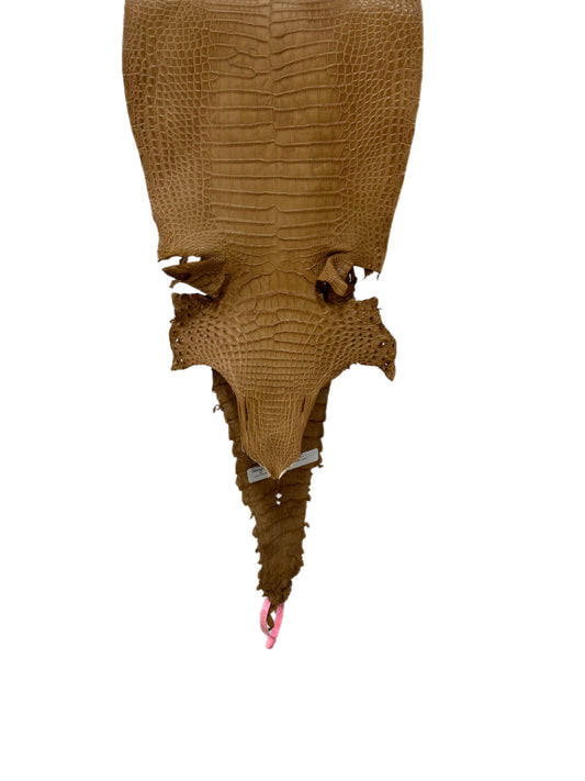 28 cm Grade 2/3 Antique Saddle Matte Farm-Raised American Alligator Leather - Tag: FL21-0025120