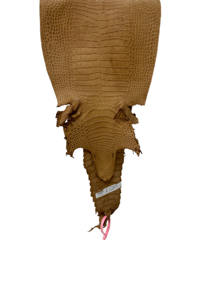 28 cm Grade 3/4 Antique Saddle Matte Farm-Raised American Alligator Leather - Tag: FL21-0024671