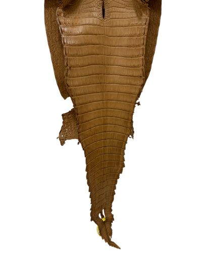 27 cm Grade 3/4 Antique Saddle Matte Farm-Raised American Alligator Leather - Tag: FL22-0030057