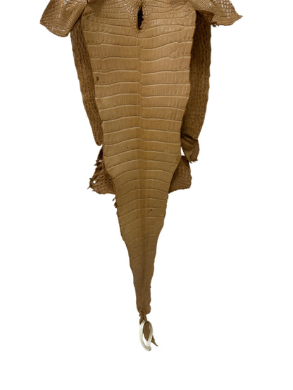 28 cm Grade 2/3 Antique Saddle Matte Farm-Raised American Alligator Leather - Tag: FL17-0035051