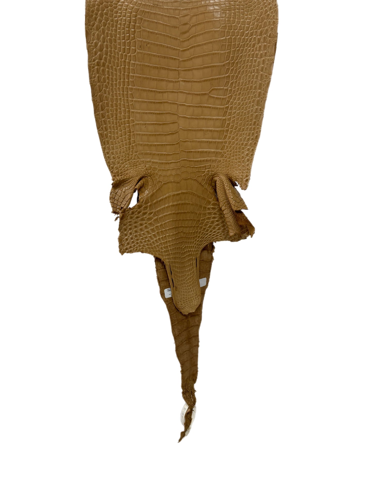 28 cm Grade 2/3 Antique Saddle Matte Farm-Raised American Alligator Leather - Tag: FL17-0035051