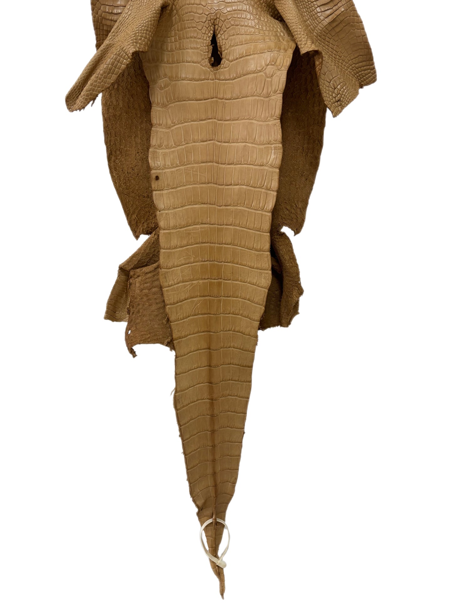 33 cm Grade 2/3 Antique Saddle Matte Wild American Alligator Leather - Tag: LA17-0034114