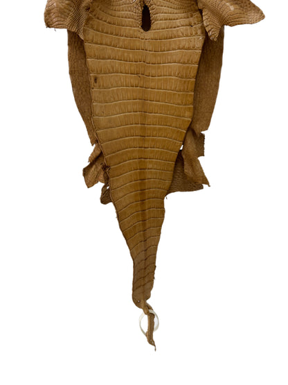 29 cm Grade 3/4 Antique Saddle Matte Farm-Raised American Alligator Leather - Tag: FL17-0035485