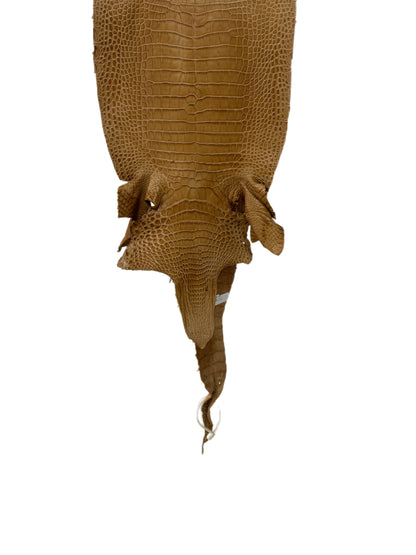 29 cm Grade 3/4 Antique Saddle Matte Farm-Raised American Alligator Leather - Tag: FL17-0035485