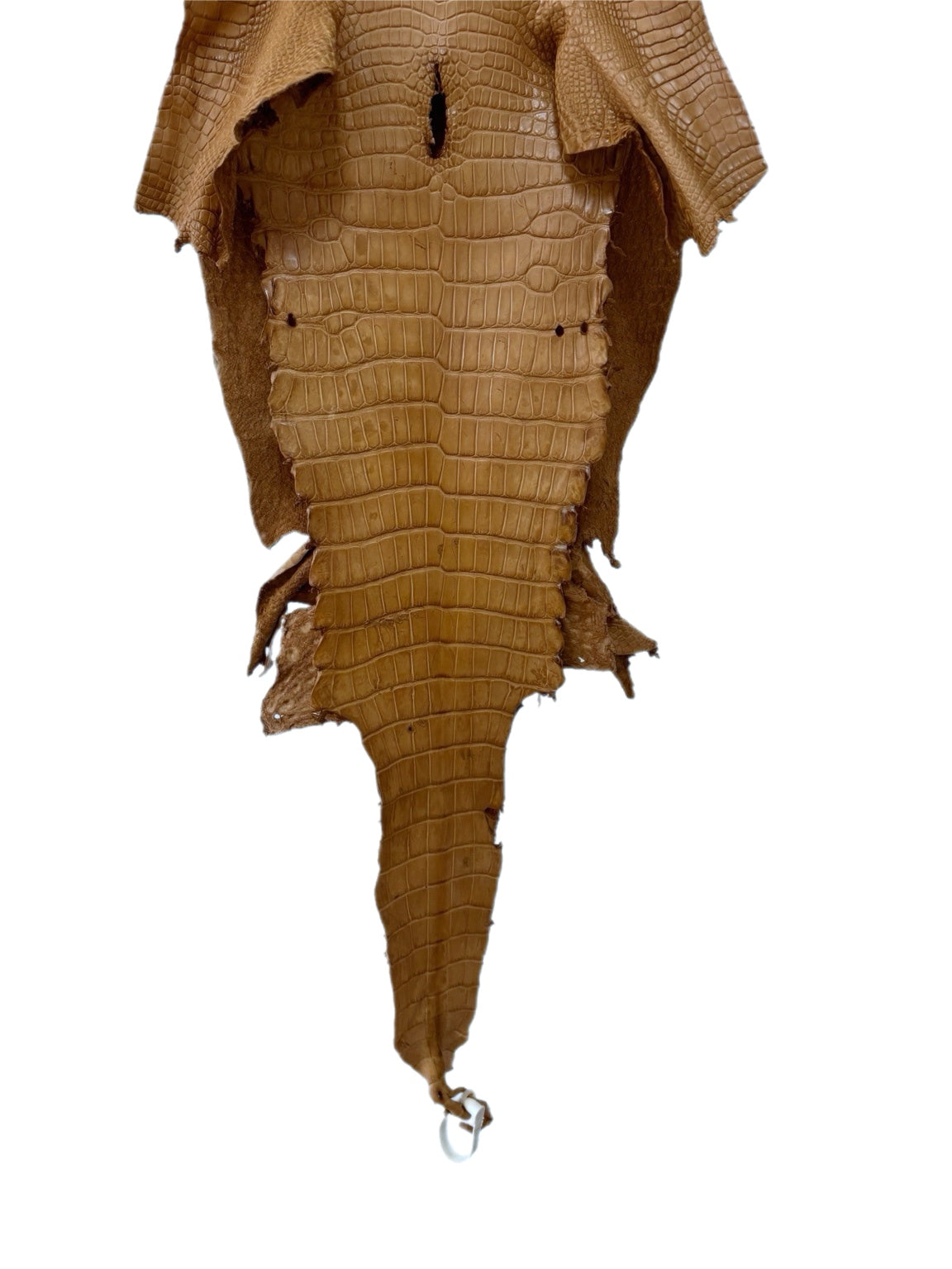 32 cm Grade 3/4 Antique Saddle Matte Wild American Alligator Leather - Tag: LA23-0001976