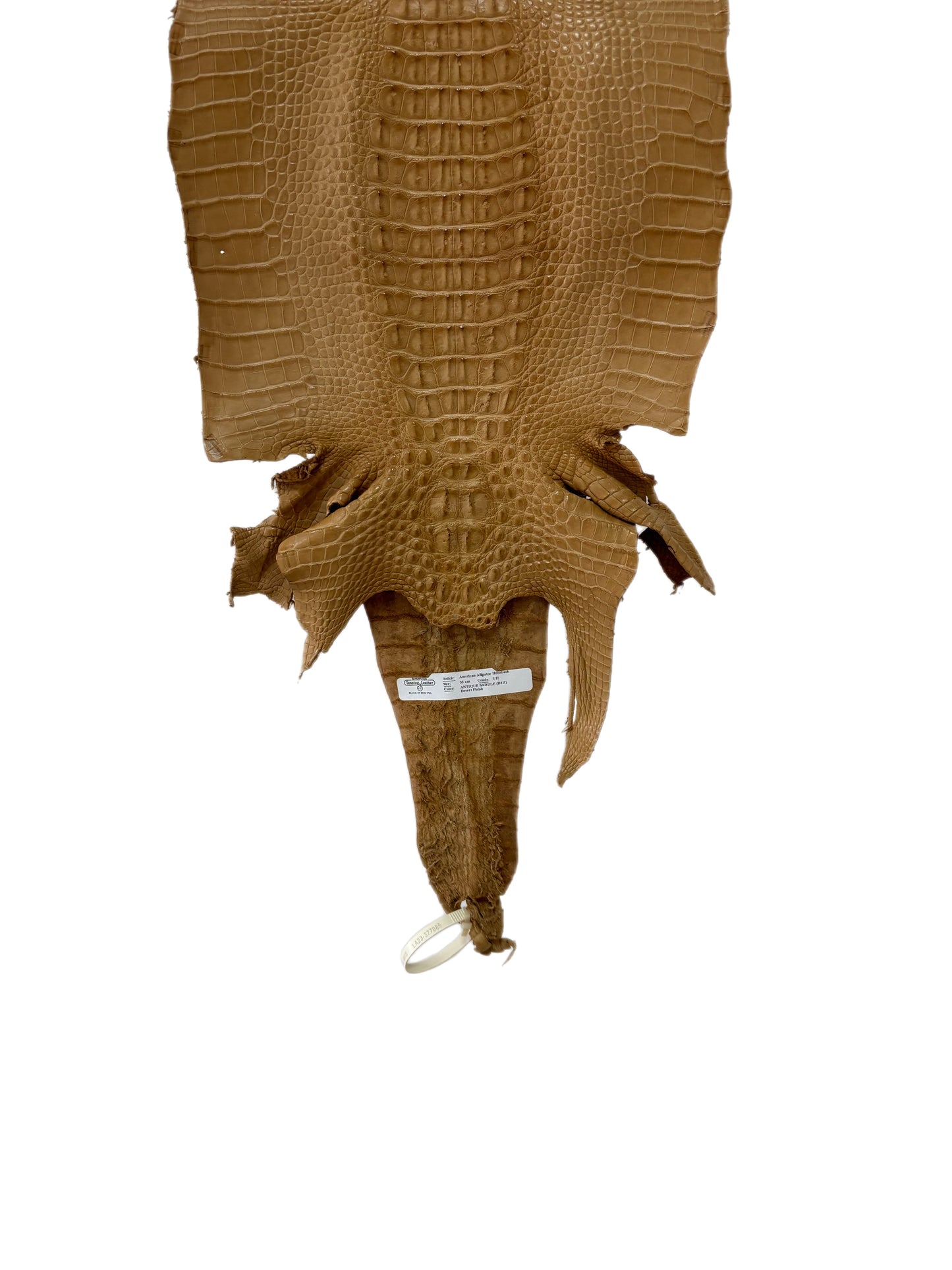 33 cm Grade 1/2 Antique Saddle Matte Farm-Raised American Alligator Hornback Leather - Tag: LA23-0377085