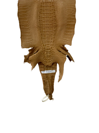 33 cm Grade 1/2 Antique Saddle Matte Farm-Raised American Alligator Hornback Leather - Tag: LA23-0377085