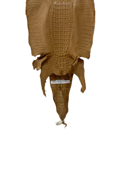 30 cm Grade 1/2 Antique Saddle Matte Farm-Raised American Alligator Hornback Leather - Tag: LA23-0377041