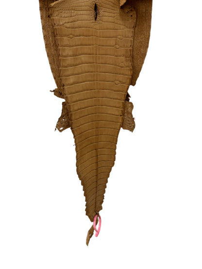30 cm Grade 2/3 Antique Saddle Matte Farm-Raised American Alligator Leather - Tag: FL21-0024822