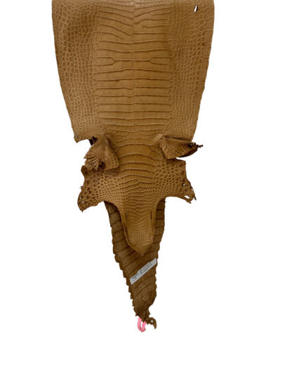 30 cm Grade 2/3 Antique Saddle Matte Farm-Raised American Alligator Leather - Tag: FL21-0024822
