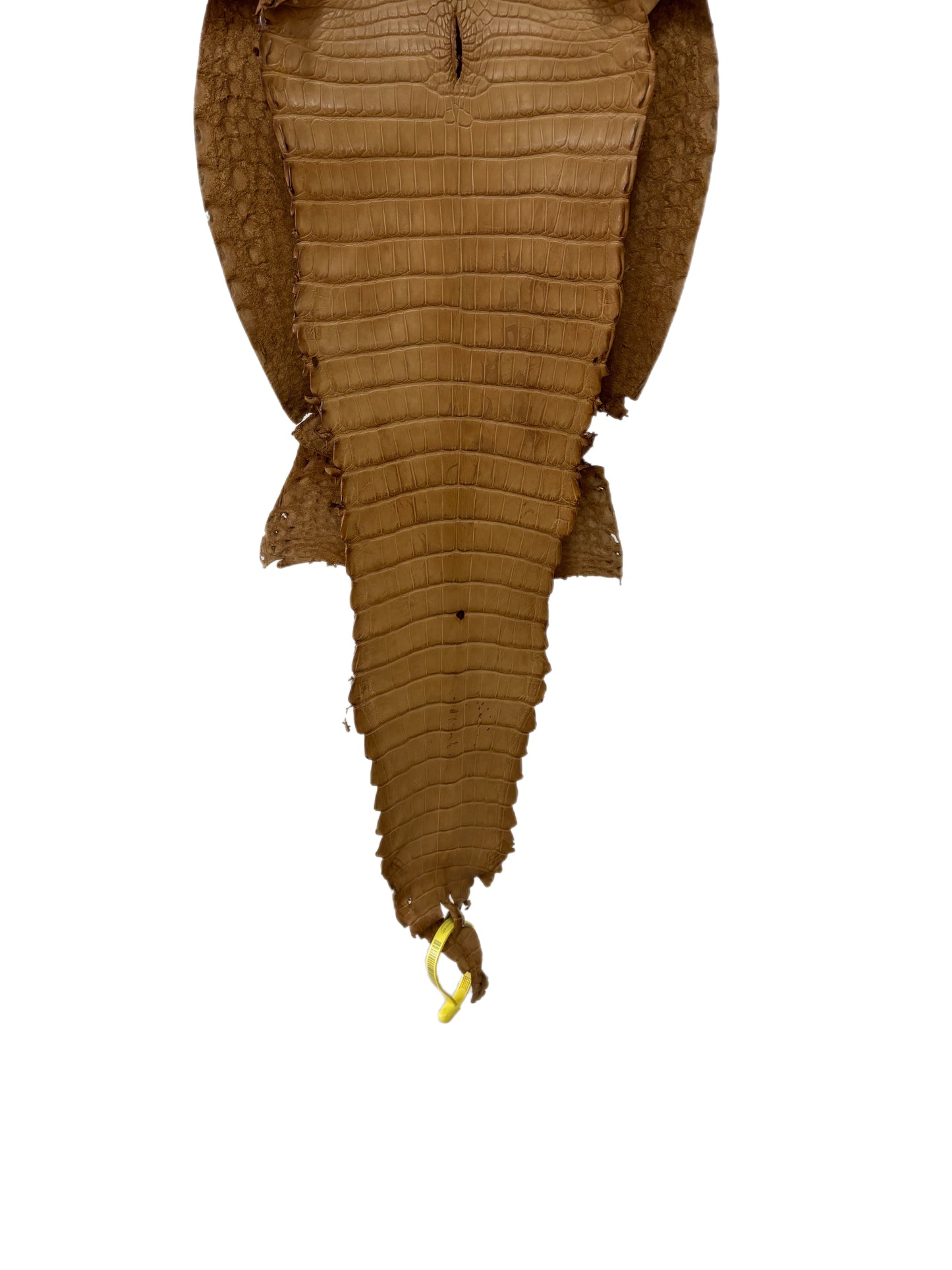 28 cm Grade 2/3 Antique Saddle Matte Farm-Raised American Alligator Leather - Tag: FL22-0030217