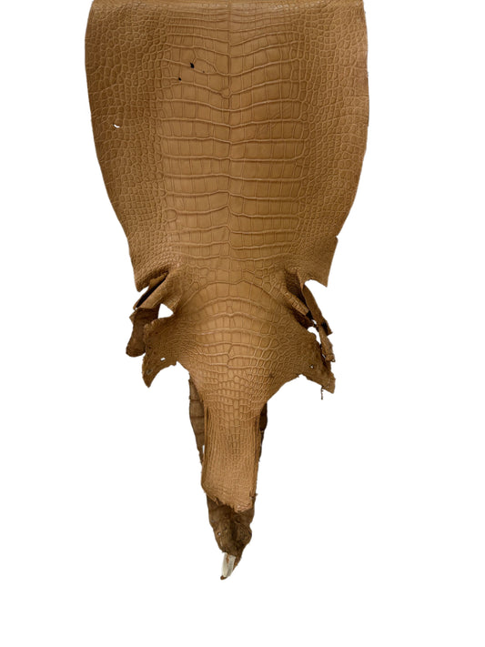 38 cm Grade 3/4 Antique Saddle Matte Wild American Alligator Leather - Tag: LA23-0022675
