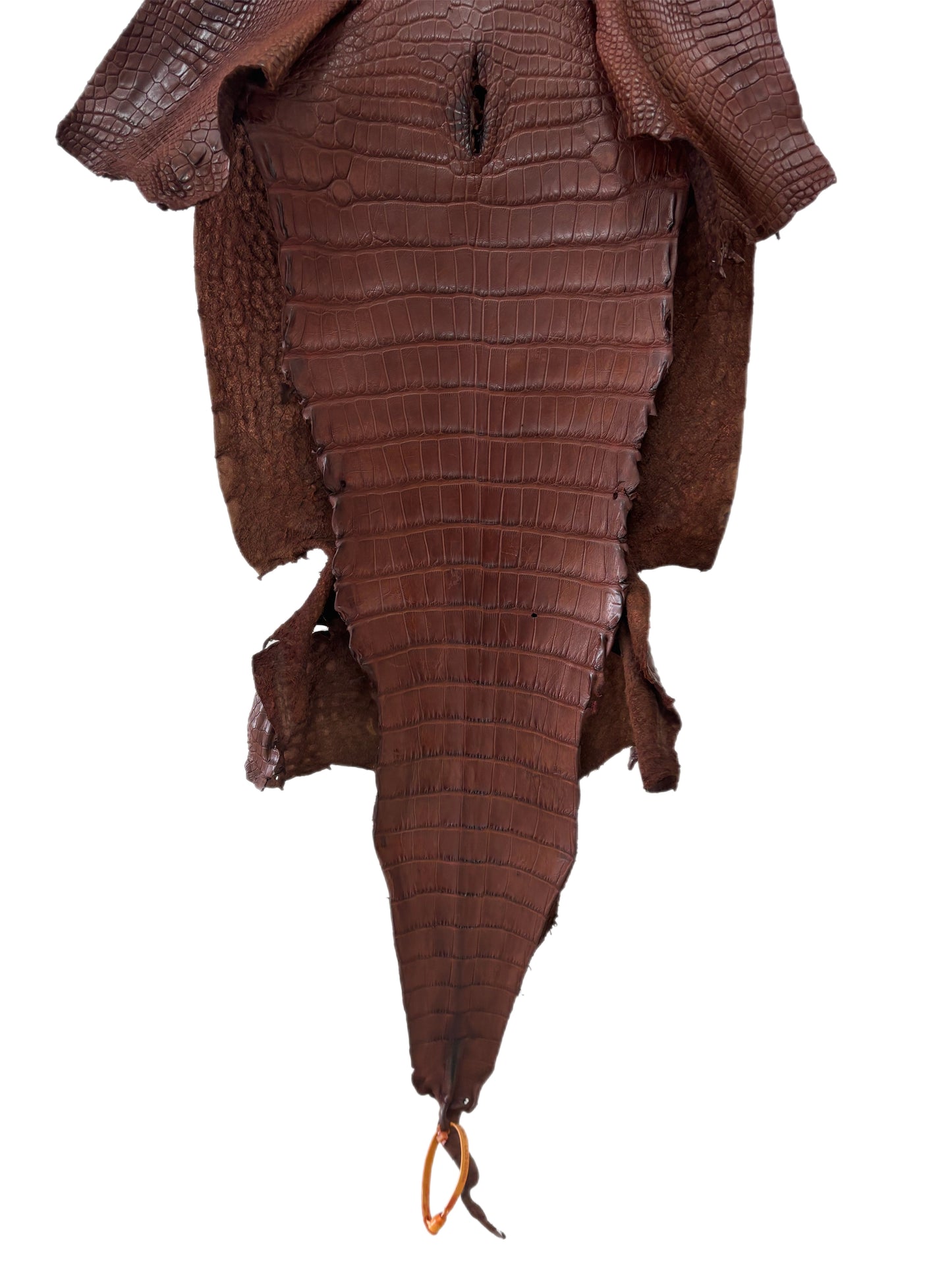39 cm Grade 3/4 Chesnut Matte Wild American Alligator Leather - Tag: LA23-0024864