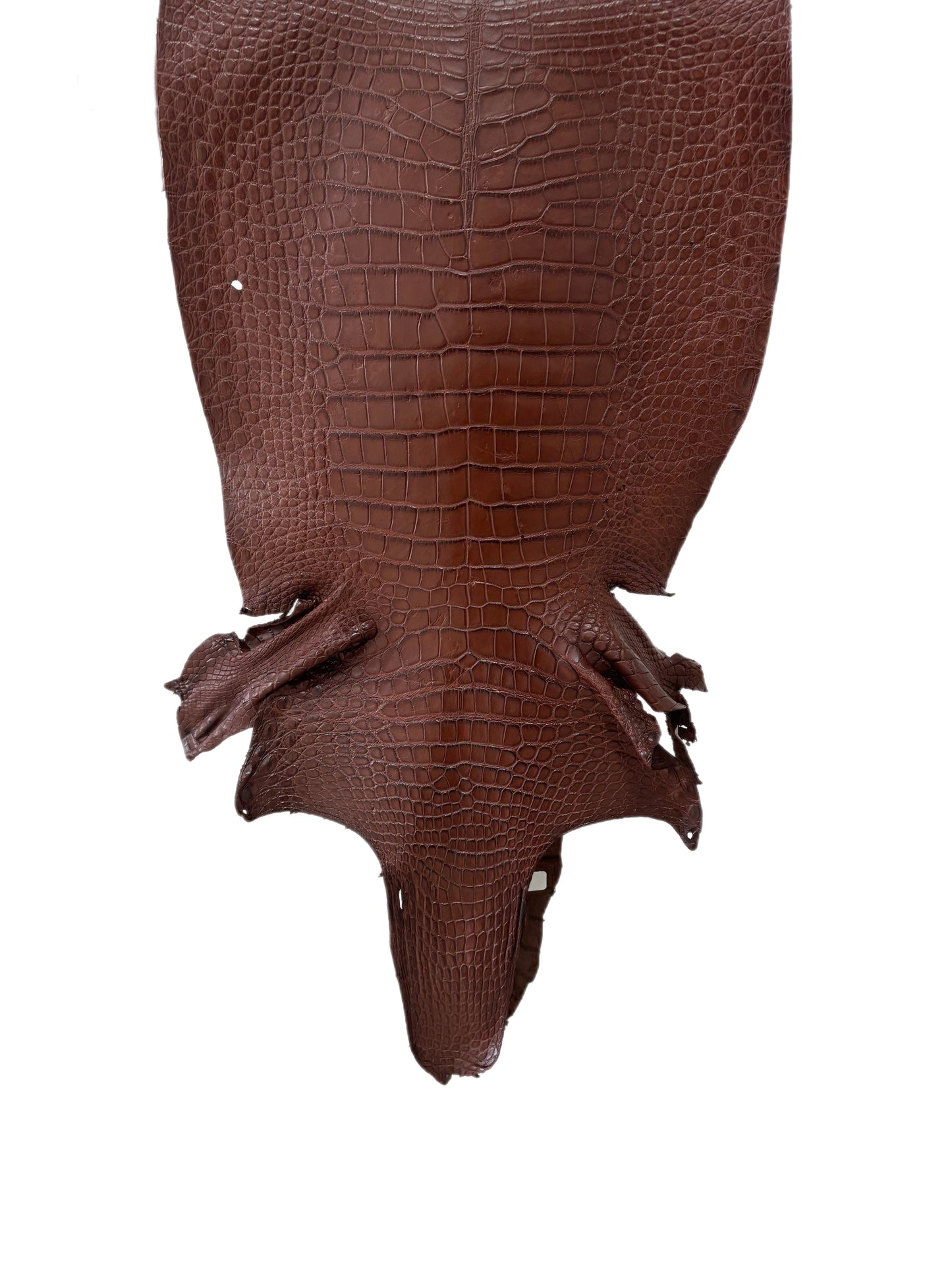 39 cm Grade 4/5 Chesnut Matte Wild American Alligator Leather - Tag: LA23-0049706