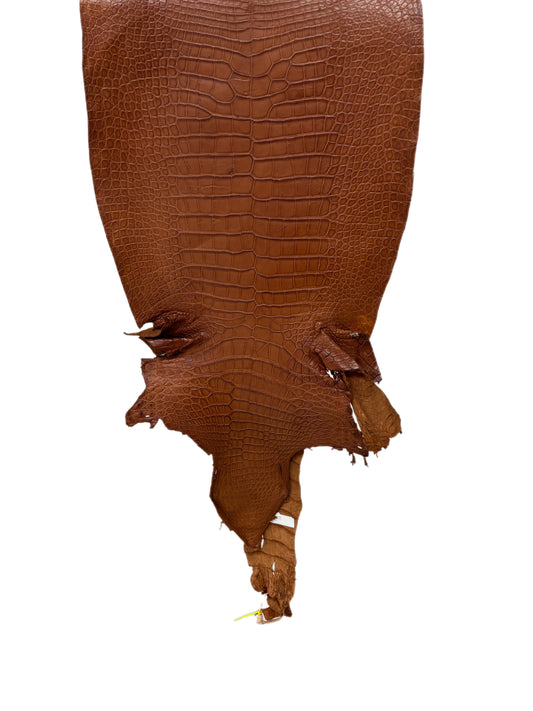 43 cm Grade 4/5 Cognac Matte Wild American Alligator Leather - Tag: LA23-0003631