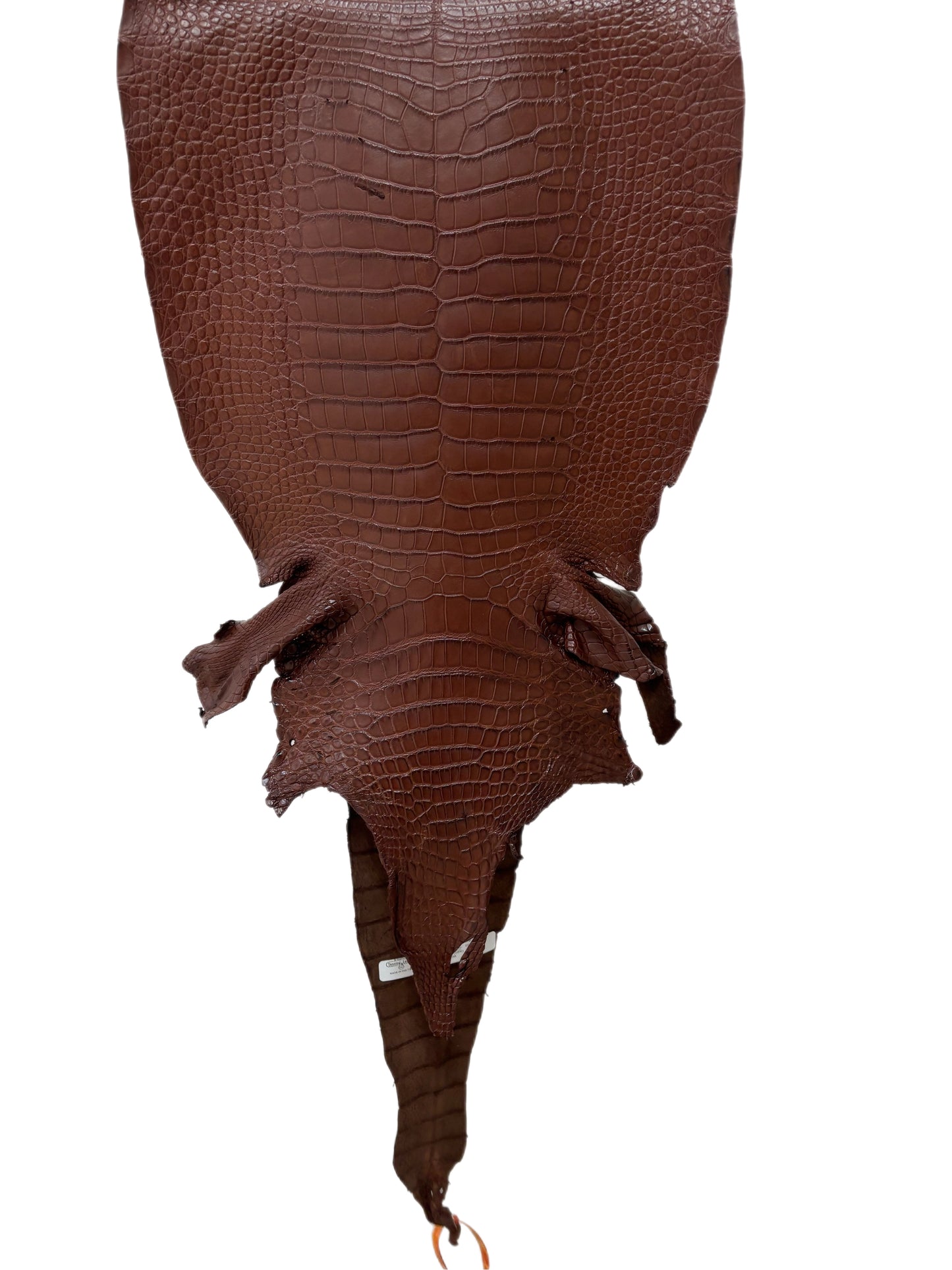38 cm Grade 3/4 Chesnut Matte Wild American Alligator Leather - Tag: LA23-0050872