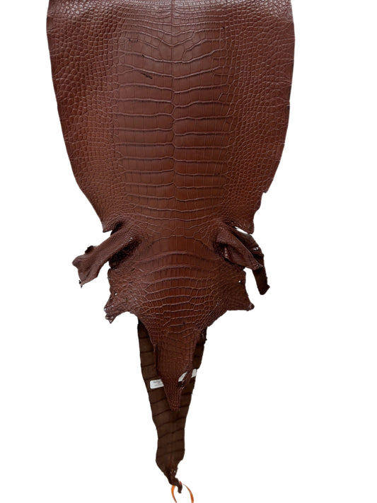38 cm Grade 3/4 Chesnut Matte Wild American Alligator Leather - Tag: LA23-0050872