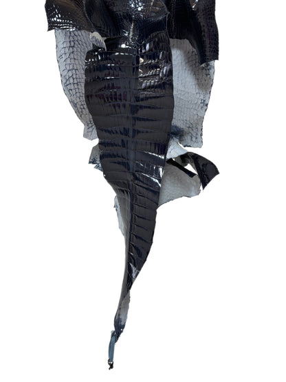 35 cm Grade 1/2 Navy Blue Glazed Wild American Alligator Leather - Tag: LA16-0035676