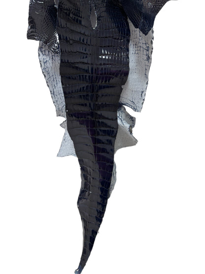 32 cm Grade 1/2 Navy Blue Glazed Wild American Alligator Leather - Tag: LA16-0032653