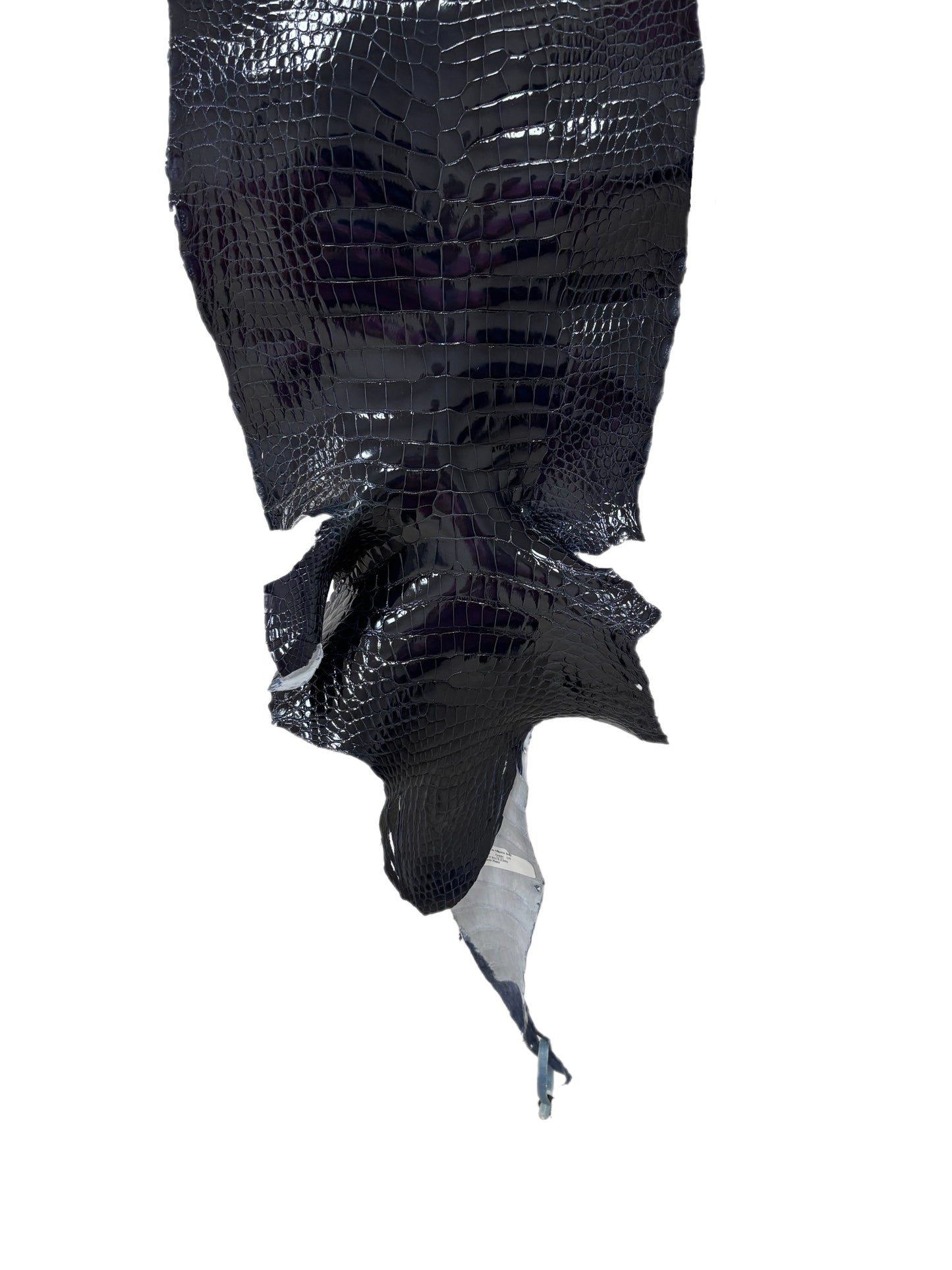 32 cm Grade 1/2 Navy Blue Glazed Wild American Alligator Leather - Tag: LA16-0032653