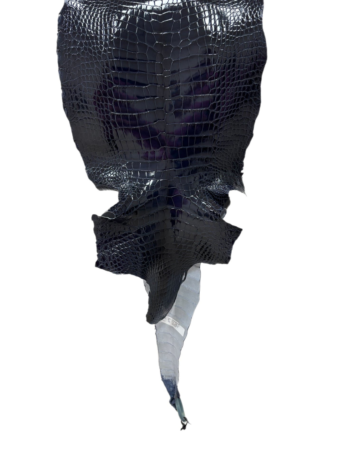 34 cm Grade 1/2 Navy Blue Glazed Wild American Alligator Leather - Tag: LA16-0036148