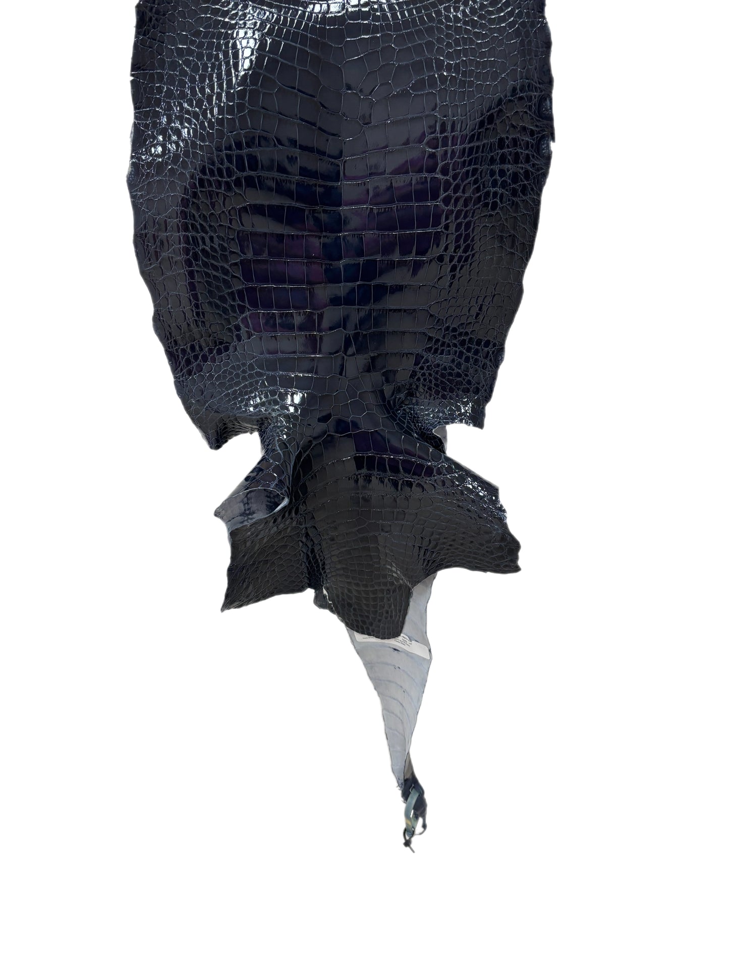 34 cm Grade 1/2 Navy Blue Glazed Wild American Alligator Leather - Tag: LA16-0036143