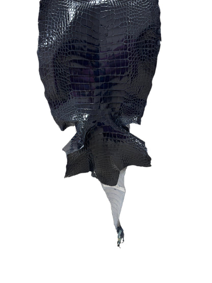 34 cm Grade 1/2 Navy Blue Glazed Wild American Alligator Leather - Tag: LA16-0036143