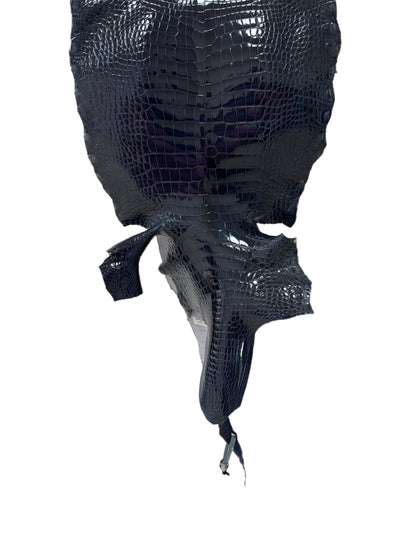 33 cm Grade 1/2 Navy Blue Glazed Wild American Alligator Leather - Tag: LA16-0037952