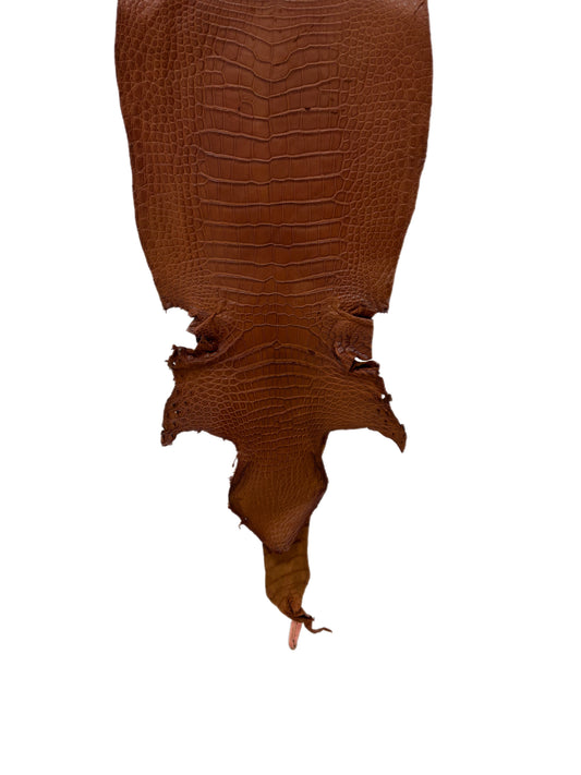 38 cm Grade 3/4 Cognac Matte Wild American Alligator Leather - Tag: LA21-0101420