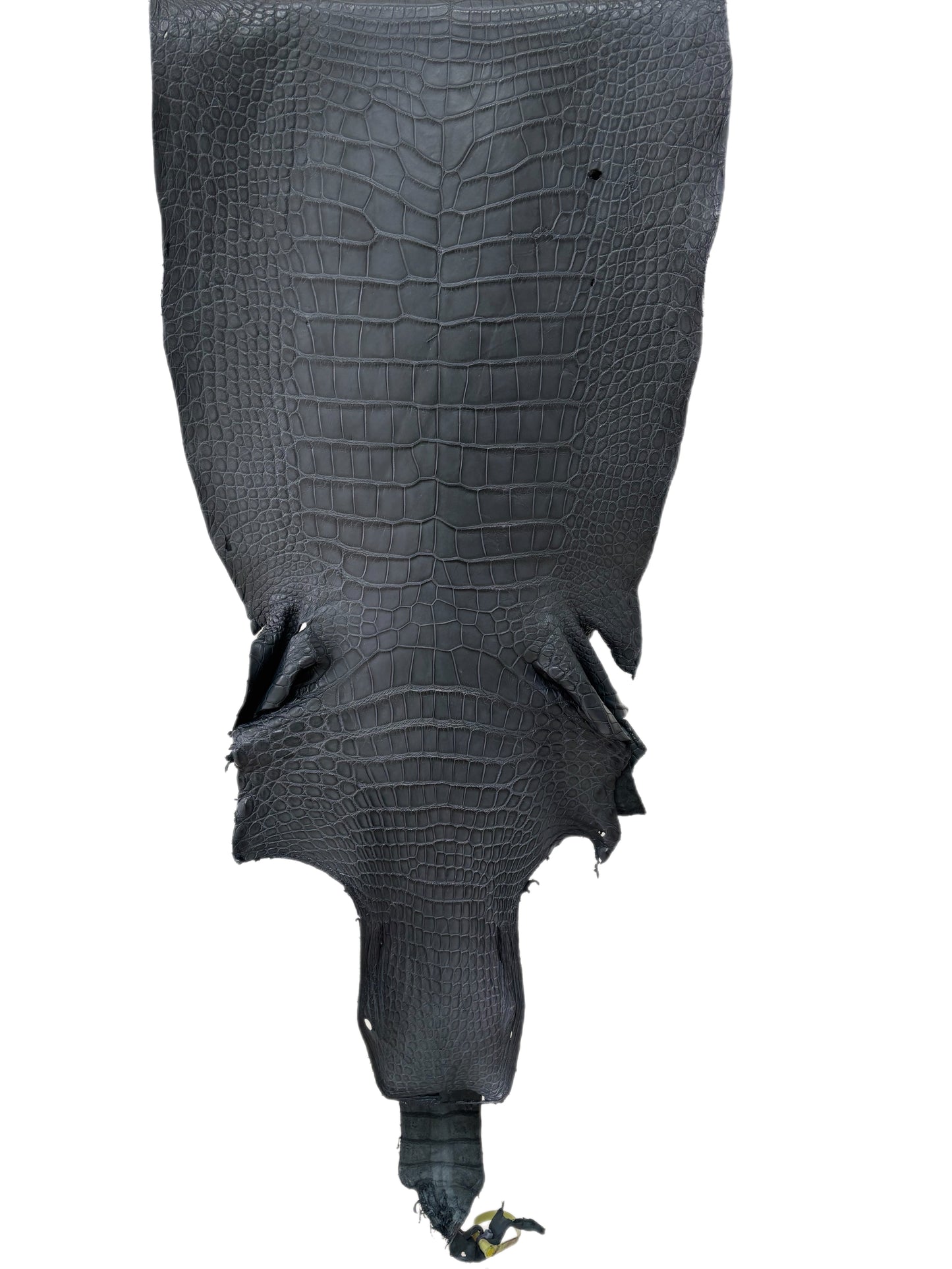 43 cm Grade 2/3 Blue Jean Matte Wild American Alligator Leather - Tag: LA25-0025504