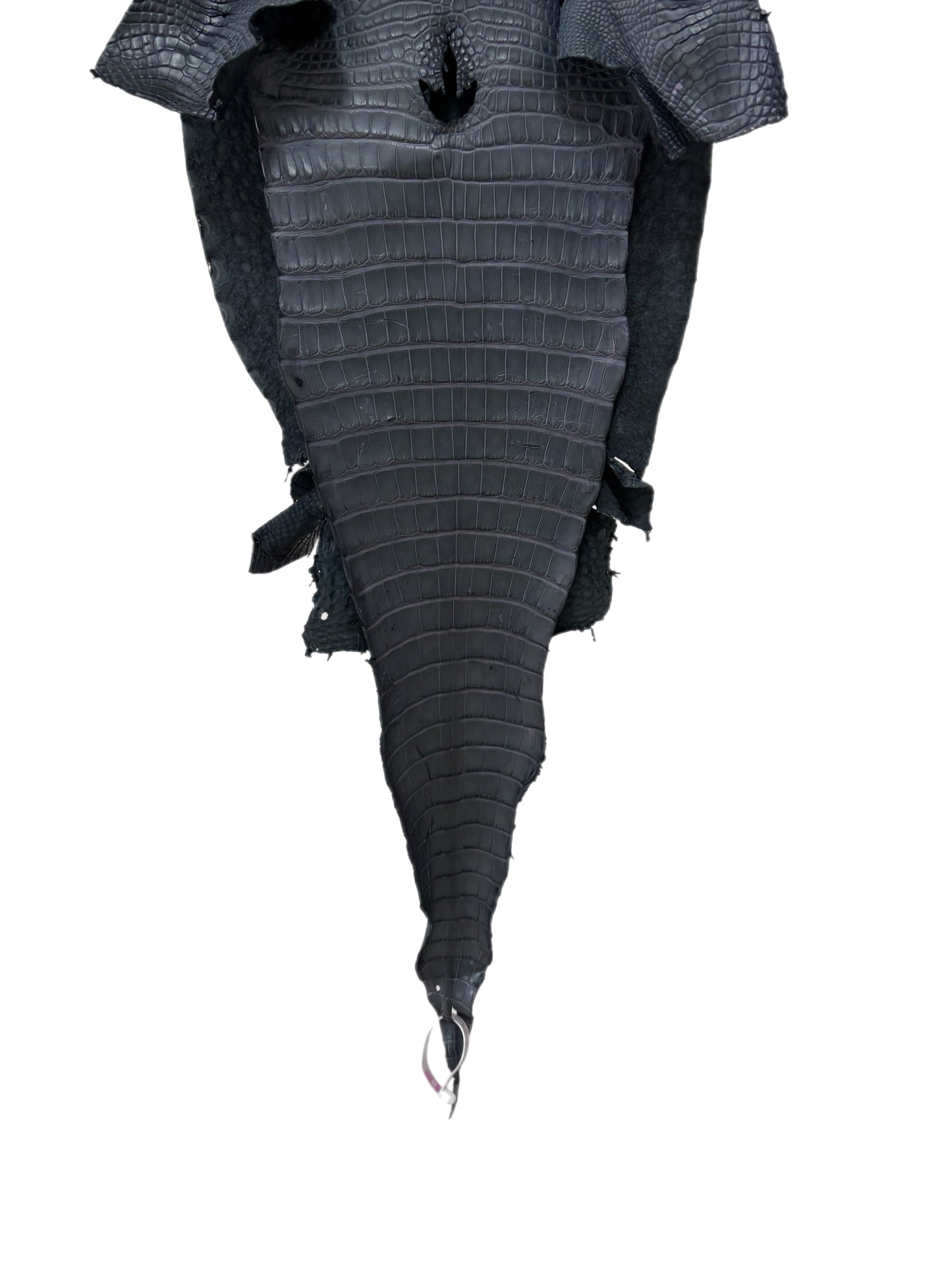 34 cm Grade 2/3 Blue Jean Matte Farm-Raised American Alligator Leather - Tag: FL17-0035761