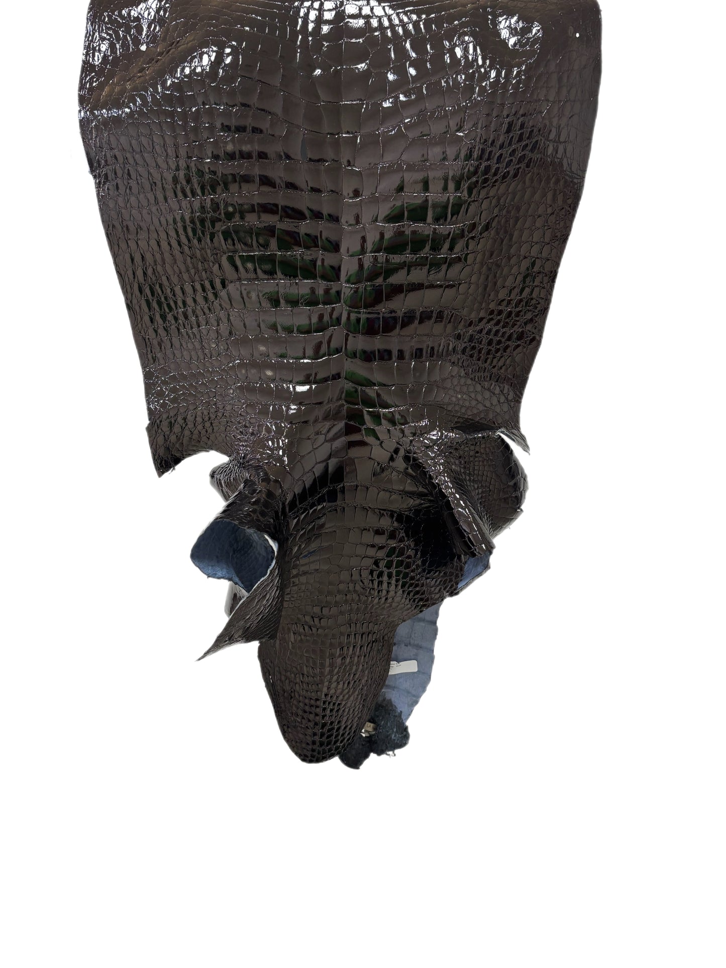 47 cm Grade 3/4 Black Glazed Wild American Alligator Leather - Tag: LA23-0003762