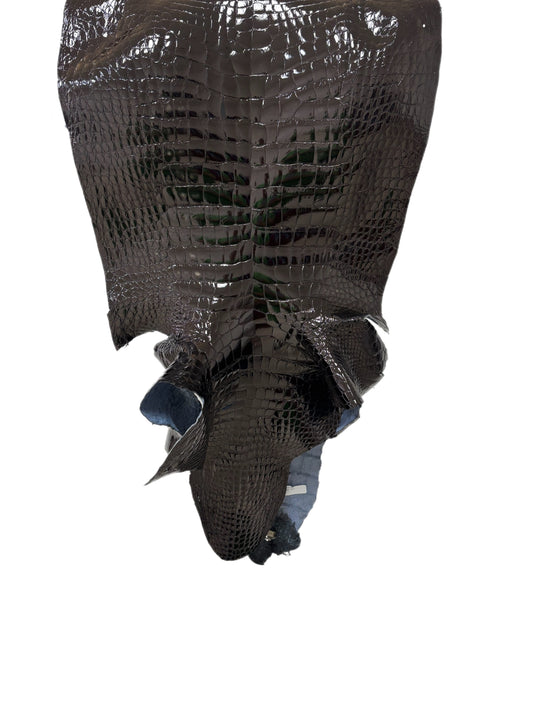 47 cm Grade 3/4 Black Glazed Wild American Alligator Leather - Tag: LA23-0003762