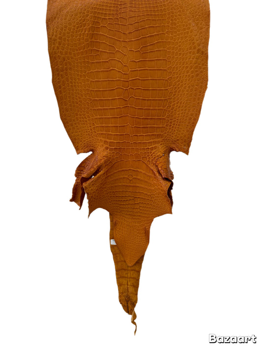 38 cm Grade 2/3 Buttercup Matte Wild American Alligator Leather - Tag: LA23-0030511