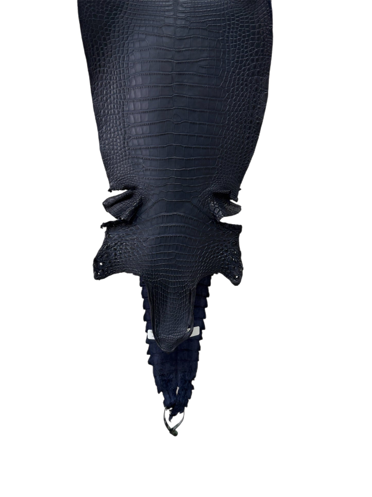 28 cm Grade 1/2 Navy Blue Matte Farm-Raised American Alligator Leather - Tag: FL22-0030372