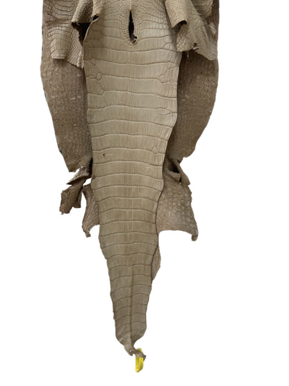 36 cm Grade 2/3 Oatmeal Matte Wild American Alligator Leather - Tag: LA25-0009430