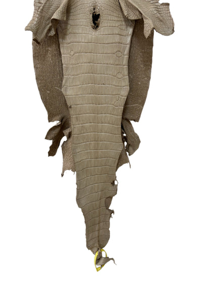 34 cm Grade 3/4 Oatmeal Matte Wild American Alligator Leather - Tag: LA25-0009808