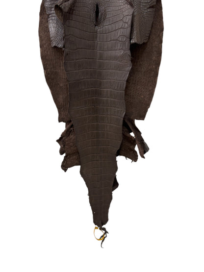 45 cm Grade 3/4 Kralle Brown Matte Wild American Alligator Leather - Tag: LA25-0008458
