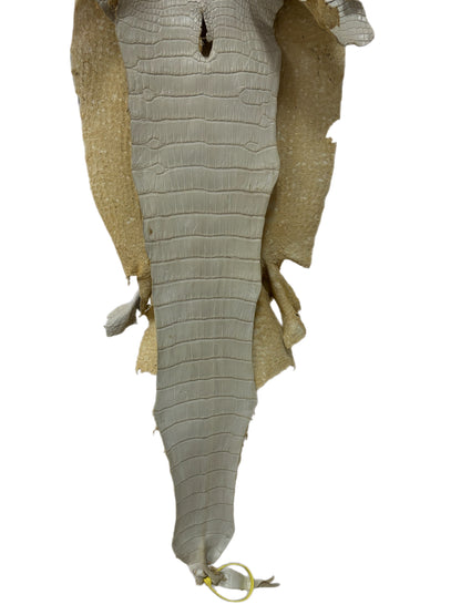 34 cm Grade 2/3 Dune Matte Wild American Alligator Leather - Tag: LA25-0009799