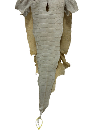 31 cm Grade 3/4 Dune Matte Wild American Alligator Leather - Tag: LA25-0006898