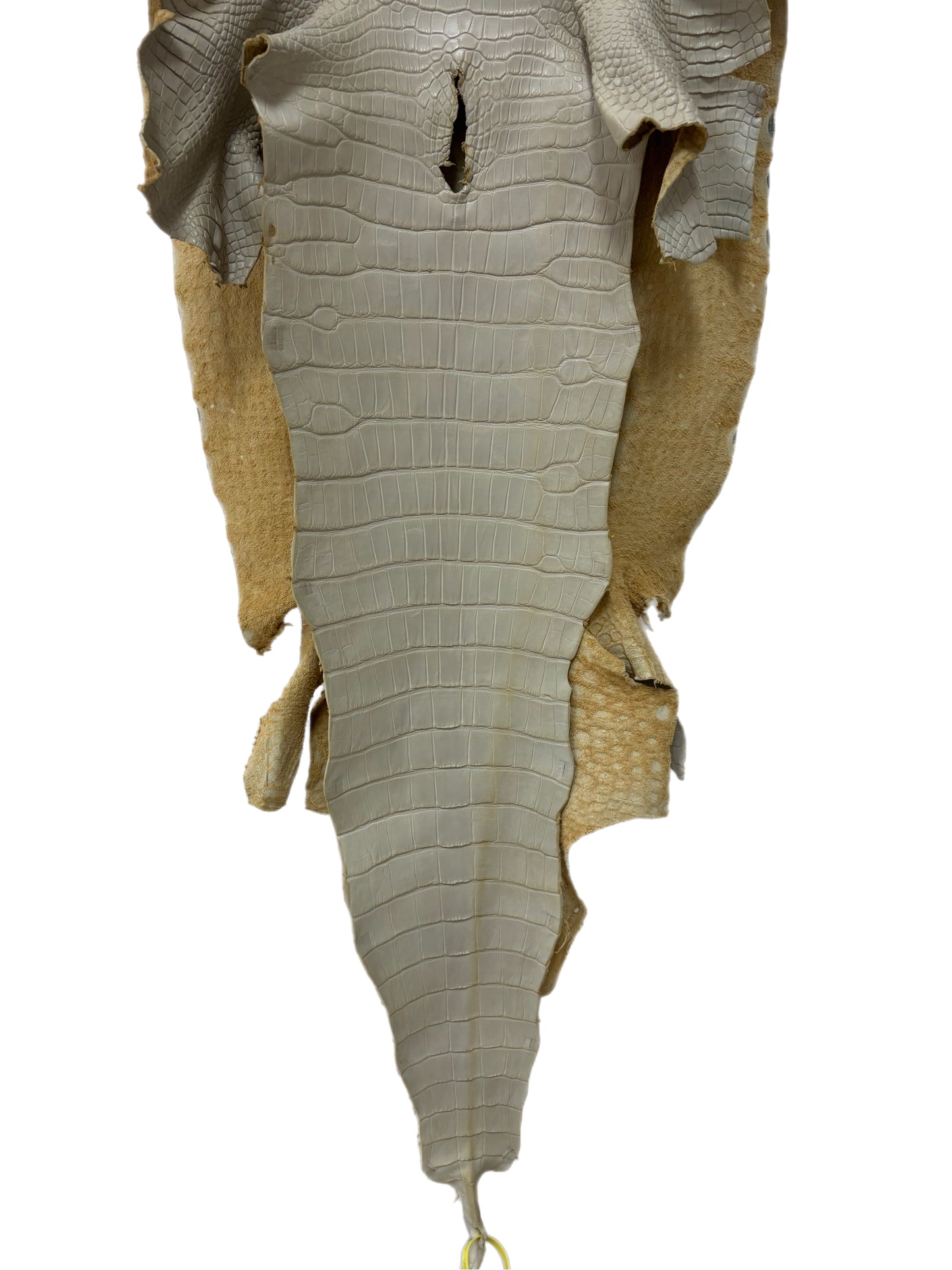 43 cm Grade 1/2 Dune Matte Wild American Alligator Leather - Tag: LA25-0007793