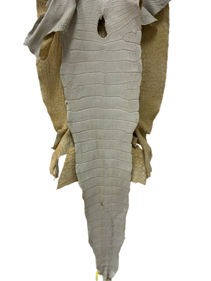 43 cm Grade 2/3 Dune Matte Wild American Alligator Leather - Tag: LA25-0009806