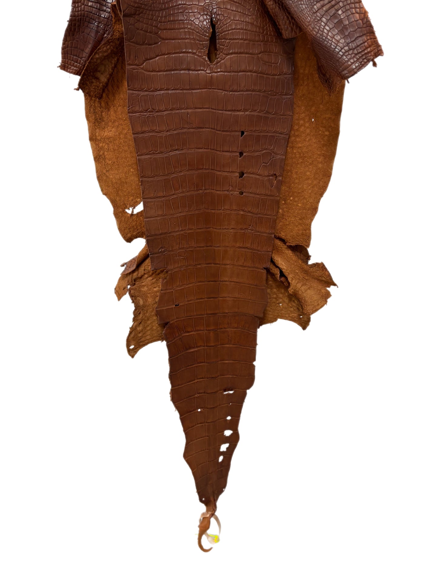 42 cm Grade 4/5 Dark Cognac Matte Wild American Alligator Leather - Tag: LA23-0003645