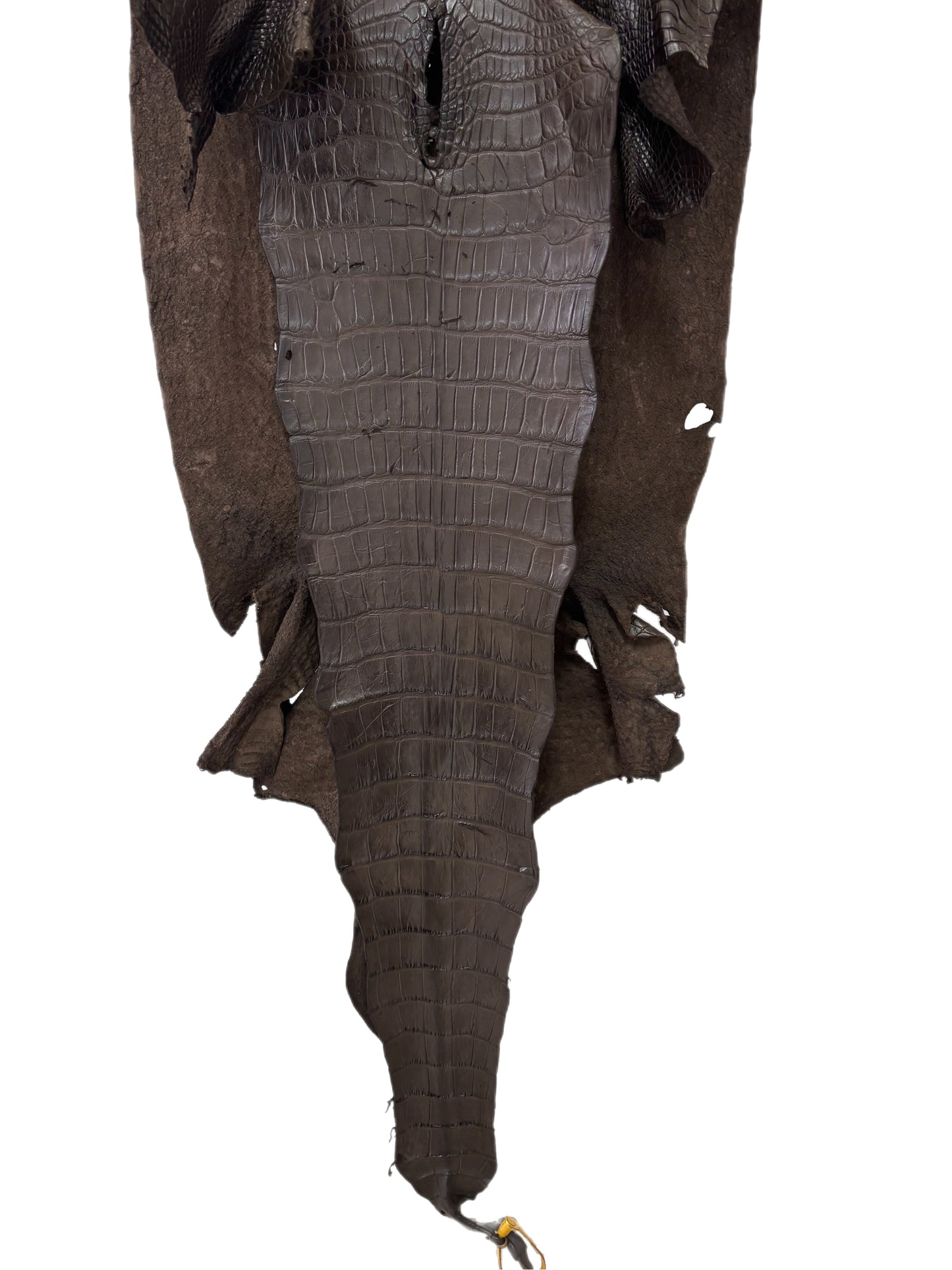 47 cm Grade 4/5 Kralle Brown Matte Wild American Alligator Leather - Tag: LA25-0002046